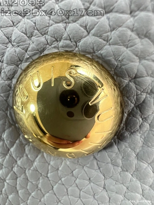 Rep ladies LOUIS VUITTON CARMEL 1217